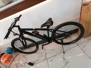 Electric Bicycle and Mountain