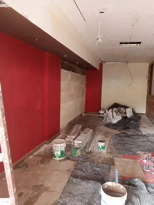 Season Painting and Skimming Finishes