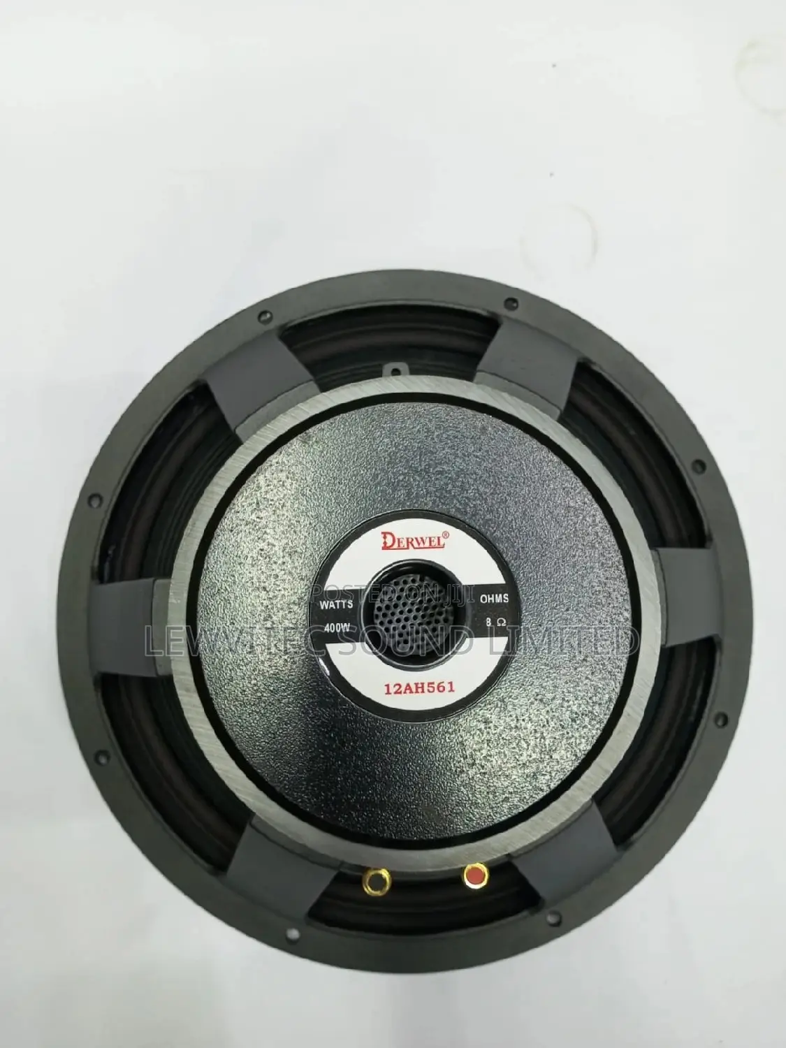 Derwell Speaker Naked 12