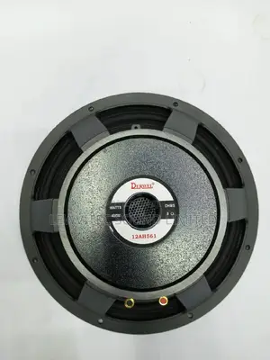 Derwell Speaker Naked 12