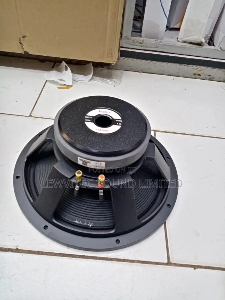 Derwell Speaker Naked 12