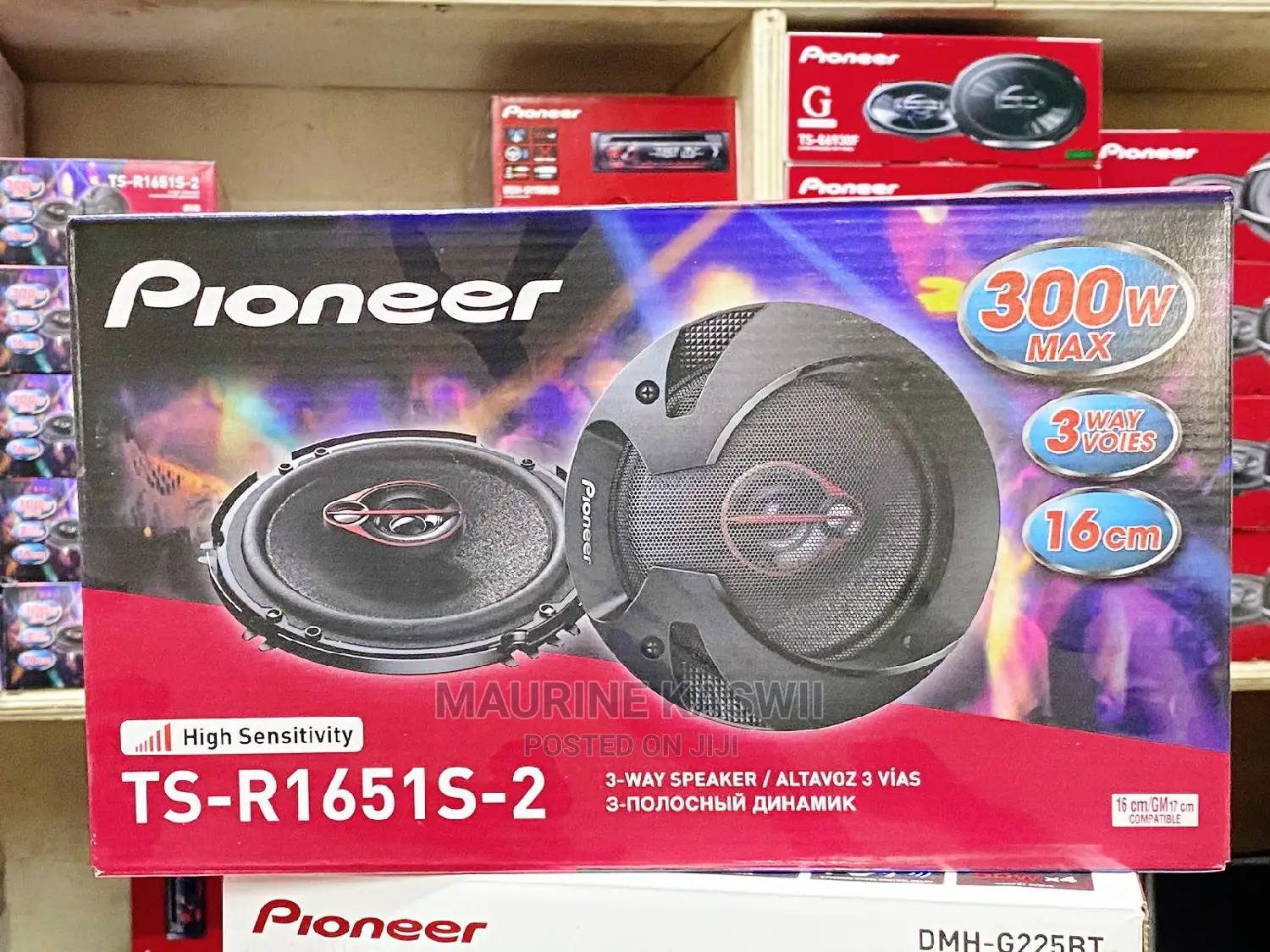 Pioneer 300 Wats Max