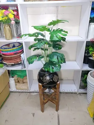 Stand+Calabash+Plant+Pebbles