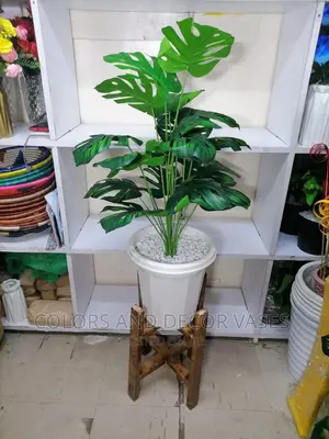 Plant + Plastic Vase +Stand