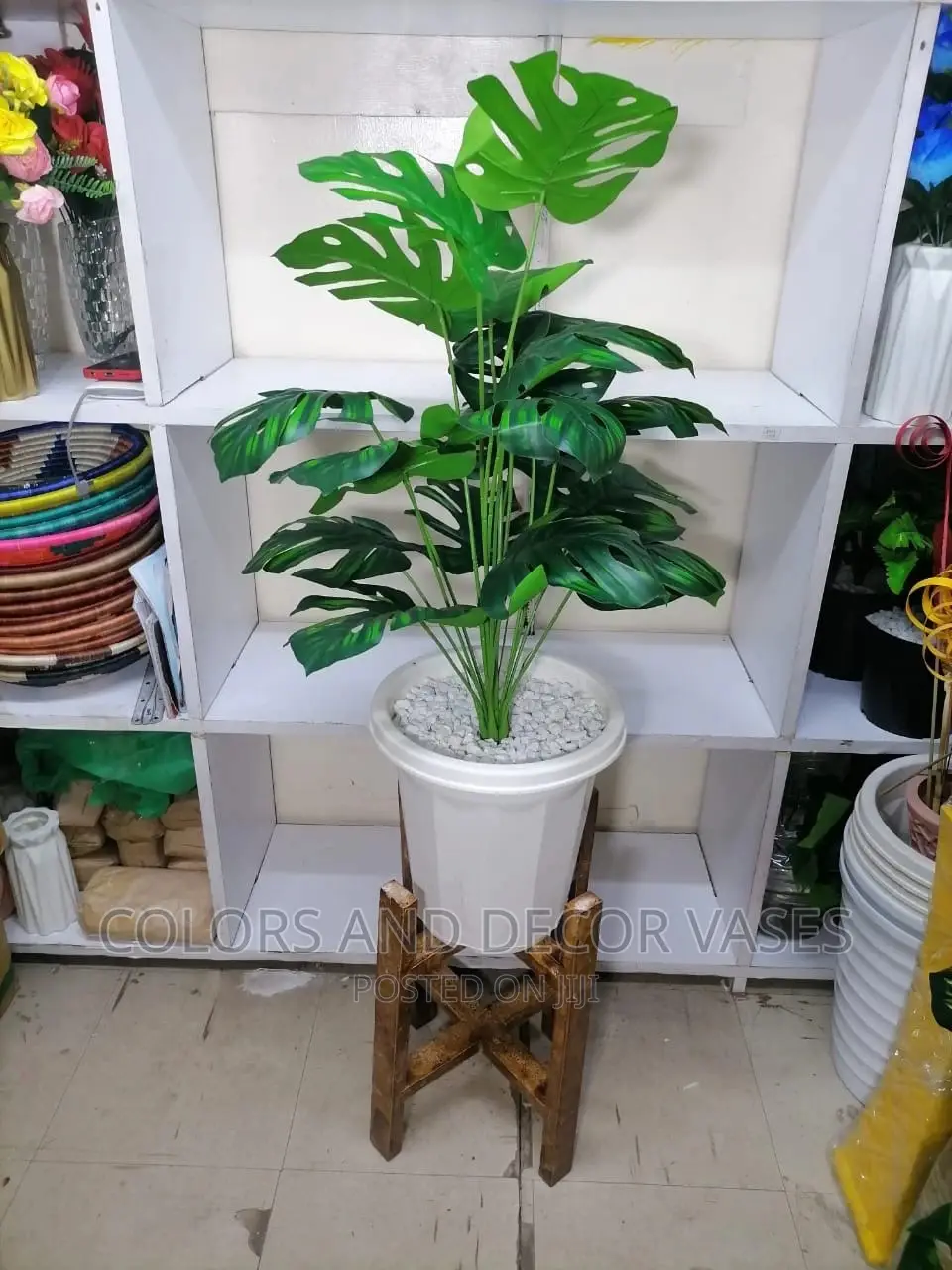 Plant + Plastic Vase +Stand