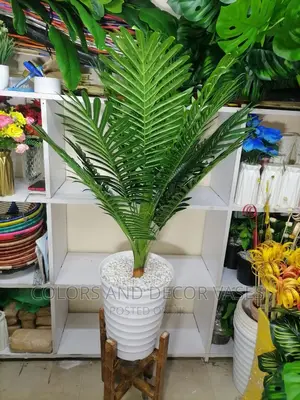 Palm Tree With Stand and Vase