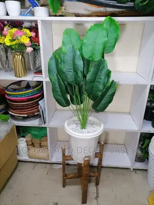 Banana Plant,Stand and Vase