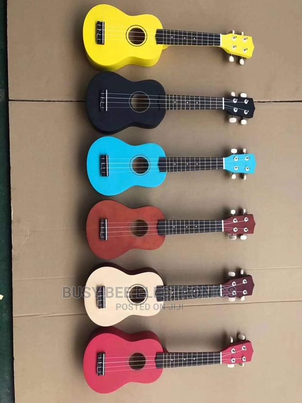 Ukelele Stringed Instrument - main view