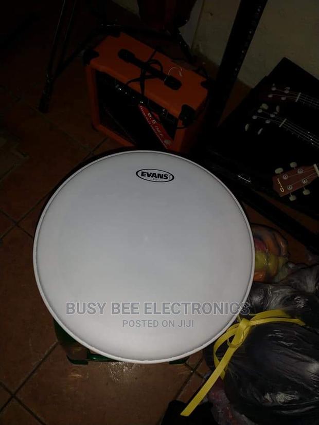 Evans 14" Skin - main view