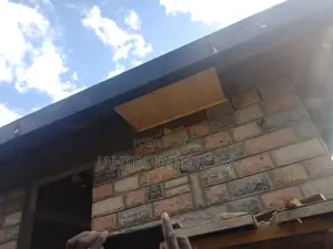 Roofing TNG and Ceiling Work