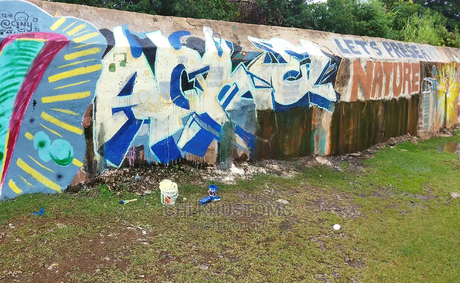 Graffiti and Large Scale Murals
