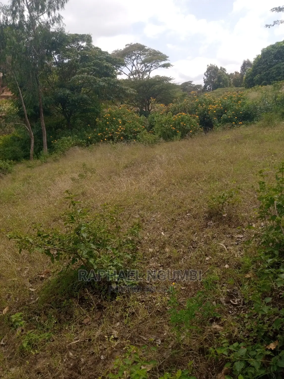 Half Acre at Machakos Town Kariobangi