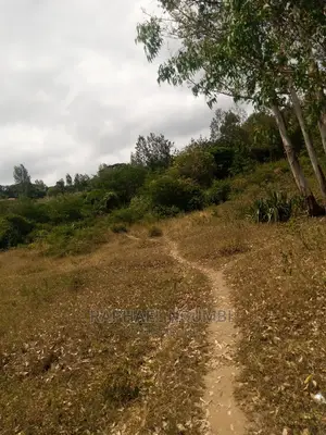 Half Acre at Machakos Town Kariobangi