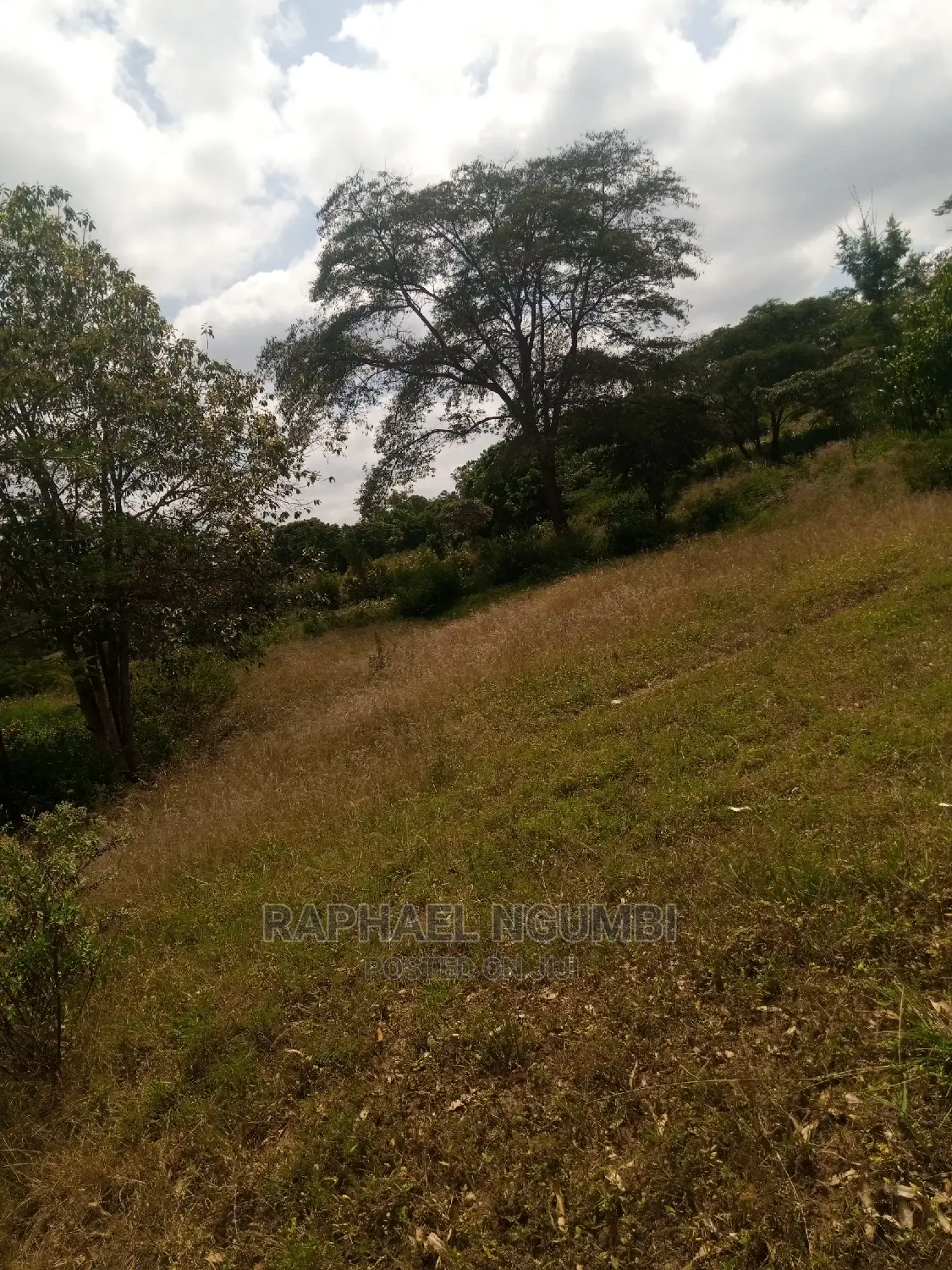Half Acre at Machakos Town Kariobangi