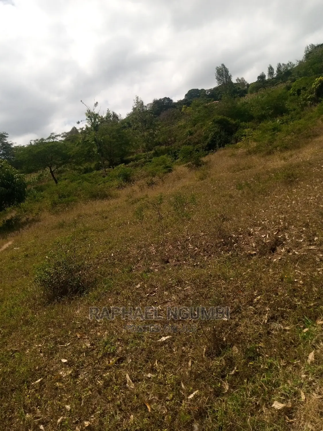 Half Acre at Machakos Town Kariobangi