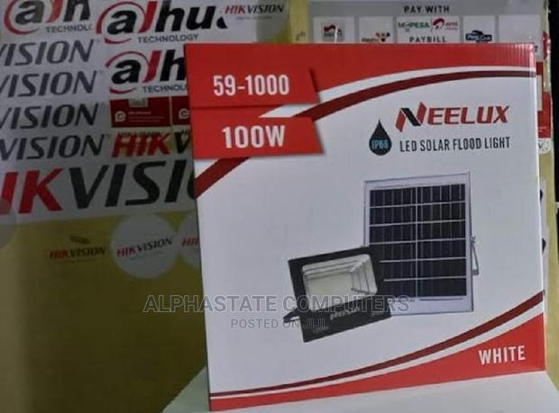 Neelux 100 Watt Solar Flood Light in Stock
