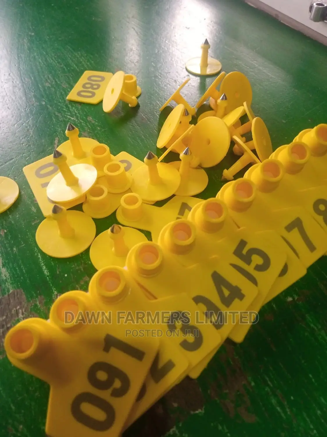 Animal Ear Tag