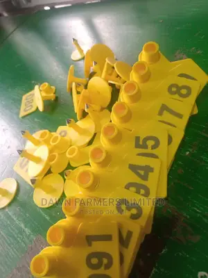 Animal Ear Tag