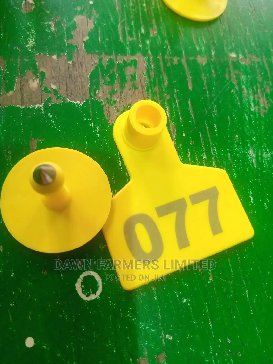 Animal Ear Tag