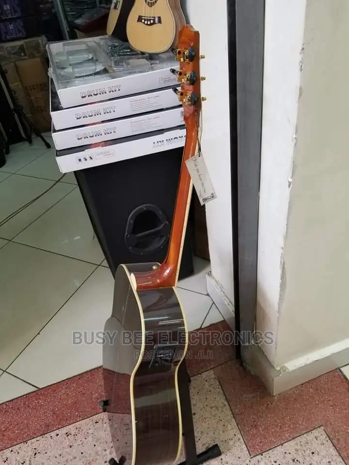 Semi Acoustic Box Guitar