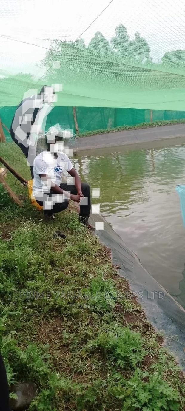 Fishing Keeping (Dam Liners Making It Workable) - thumbnail 2