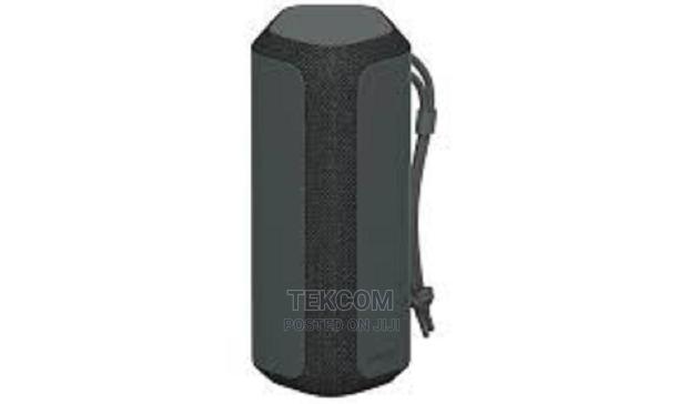 Sony SRS-XE300 Portable Wireless Speaker