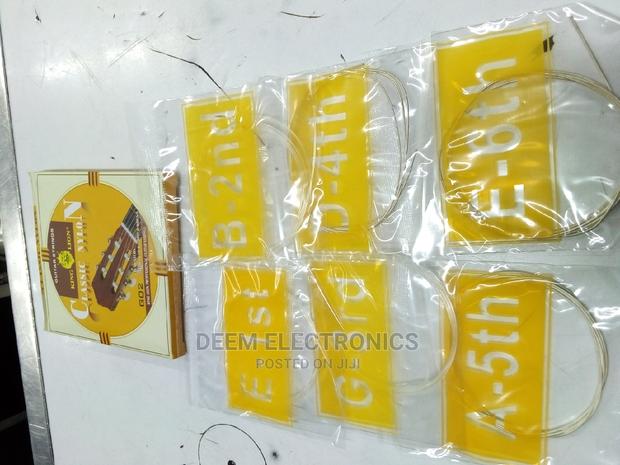 Nylon String King Lion - main view