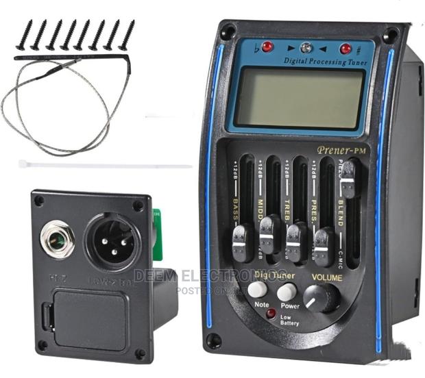 Digital Pickup, Digital Processor Tuner - main view