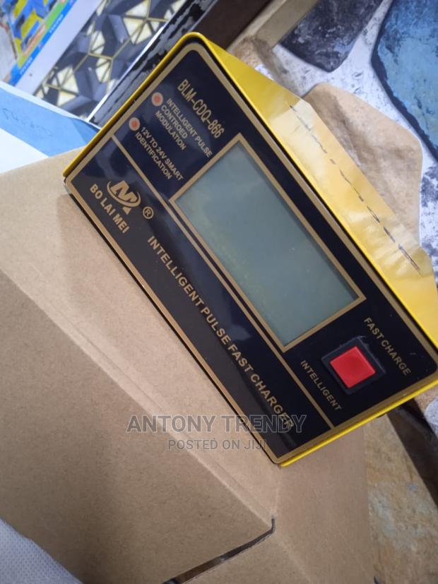 Battery Charger, 12volts and 24volts - main view