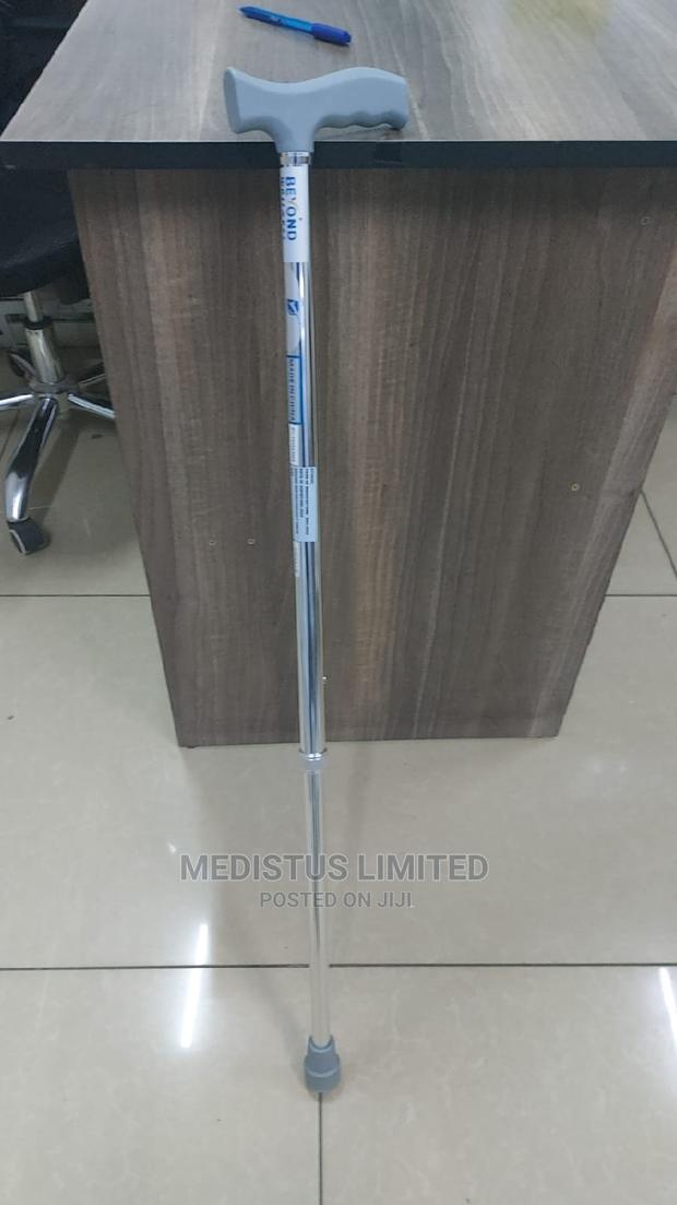 Walking Stick - main view