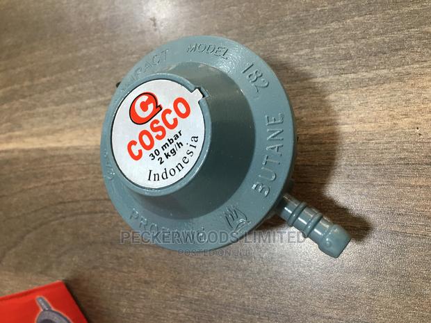 30mbar 2kg/H Regulator