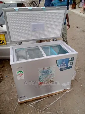 Chest Freezer Roch Silver Two Partitions