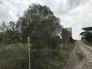 100 By100 Plot Katani
