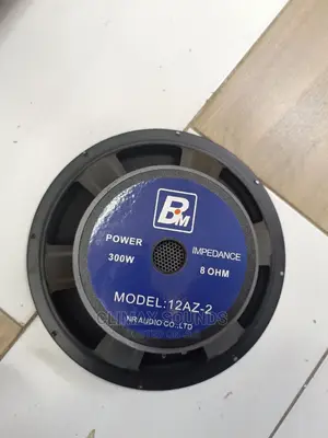 Bm Speaker Az-2 12 Inches