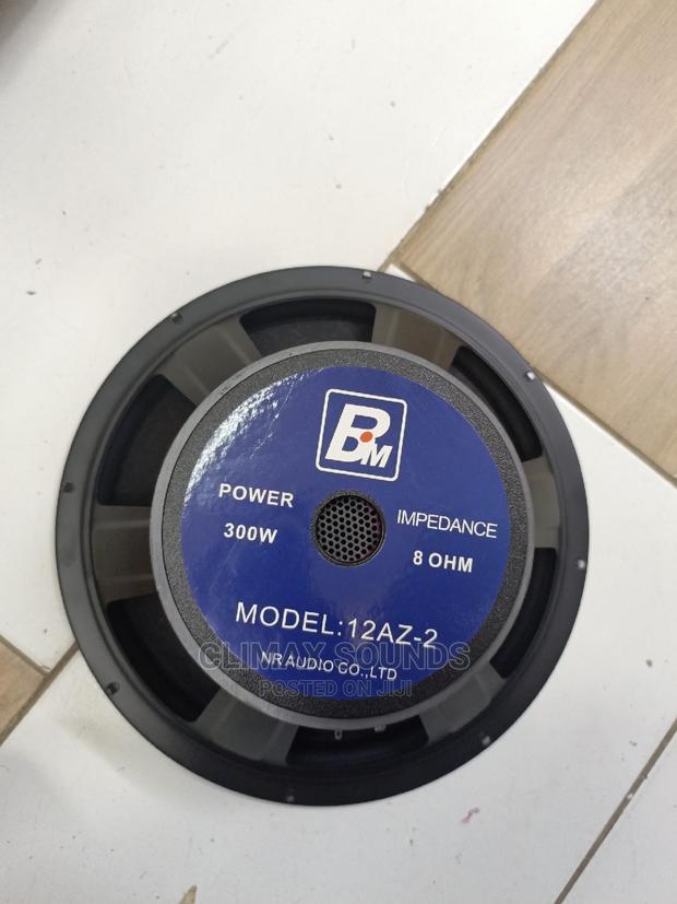 Bm Speaker Az-2 12 Inches