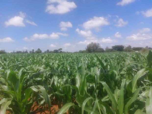 2 Acres of Land Moiben Kabiyet Area With Title