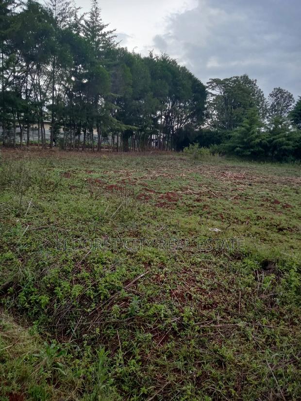 1/8 Plot Kapsoya 100 Metres From Tarmac - thumbnail 2