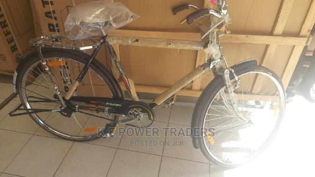 Strong Stainless Courier Raleigh Adult Bicycle