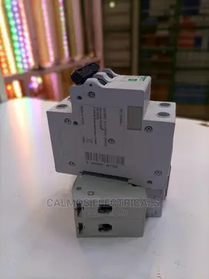 Schneider Double Pole 63A