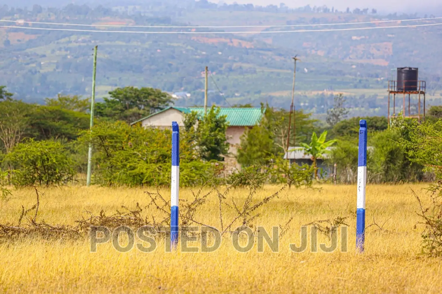 Elite Gardens in Koma. ^EM