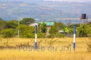 Elite Gardens in Koma. ^EM - thumbnail 2