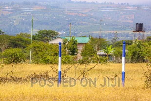 Elite Gardens in Koma. ^EM - main view