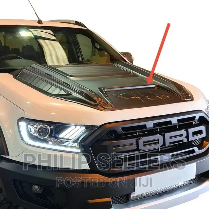 Headlight and Backlight Covers * Ford