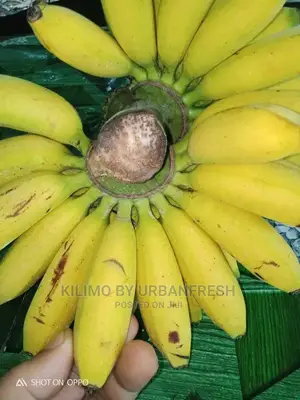 Sweet Banana Suckers
