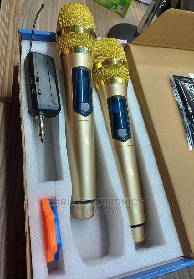Professional Wireless Microphone( 2pcs)