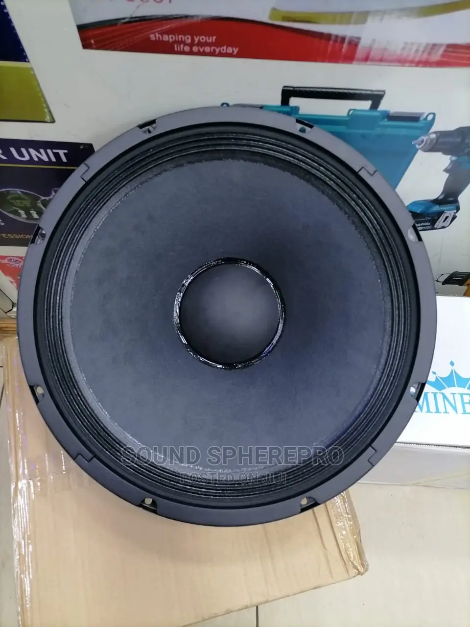 BM 12 AZ-16 12 Inch Naked Speaker