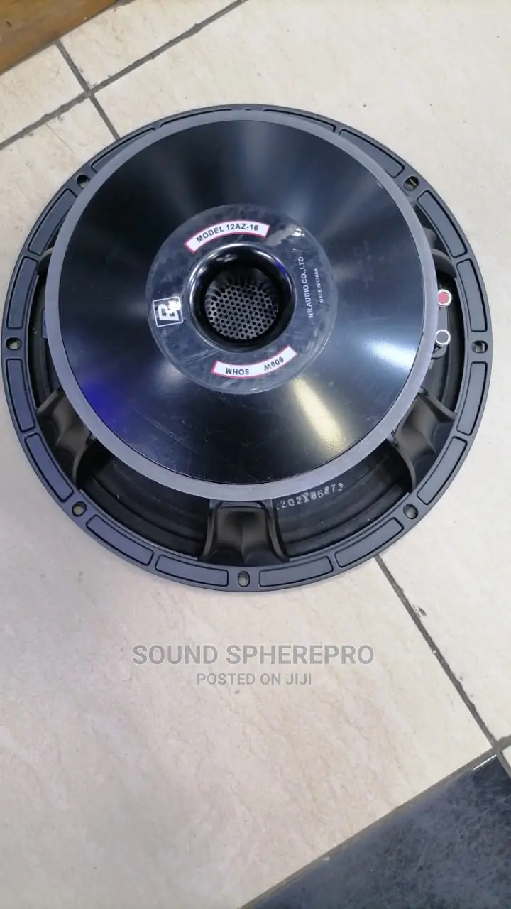 BM 12 AZ-16 12 Inch Naked Speaker