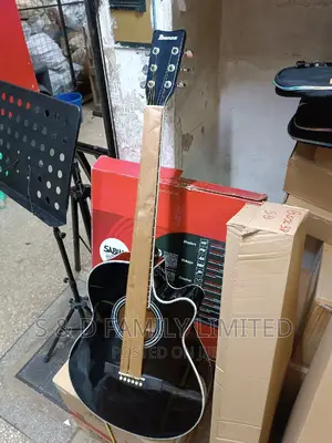 Ibanez Box Guitar Size 40