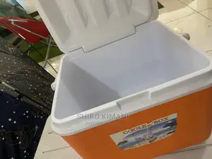 26L High Quality Cooler Box