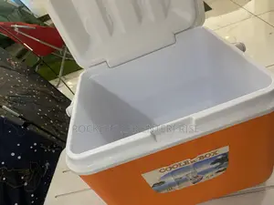 26L High Quality Cooler Box